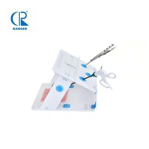 Laparoscopic Virtual Endo Trainer